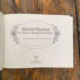 Wiener Neustadt in alten Ansichten