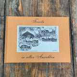 Ternitz in alten Ansichten, Buch