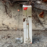 INGRID GLAS, Rosenvase