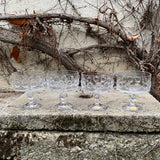 CLAUS JOSEF RIEDEL für RIEDEL GLAS, Champagnerschalen