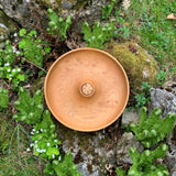 CARL AUBÖCK, Nussholzschale