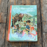 Der zerbrochene Globus, Buch