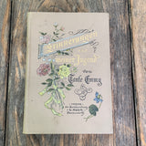 Erinnerungen aus meiner Jugend, Buch