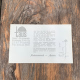 Piesting, Hotel Restaurant Taus