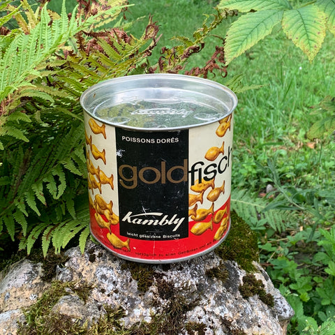 KAMBLY Goldfischli, Dose