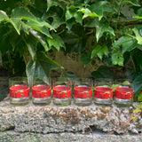 Whiskygläser-Set