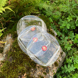 WALTHER GLAS, Untersetzer-Set