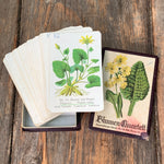 RAVENSBURGER, Blumen Quartett