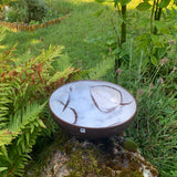 PENTIK STUDIO Finland, Schale