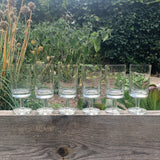 STÖLZLE GLAS, Gläserset