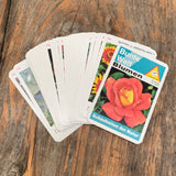 PIATNIK Quartett "Blumen"