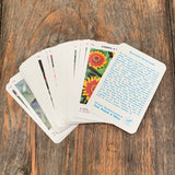 PIATNIK Quartett "Blumen"