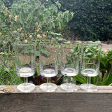 STÖLZLE GLAS, Weingläser-Set