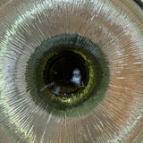 VEMAM, Dessertschalen