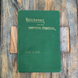 Reichenau und seine malerische Umgebung, Buch