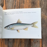 Mein kleines Fischbuch