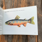 Mein kleines Fischbuch