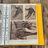 Skisport-Mappe, 1950/60er-Jahre