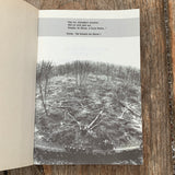 Die Schlacht der Bäume - Hainburg 1984