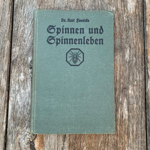 SPINNEN UND SPINNENLEBEN