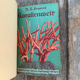 KORALLENWELT