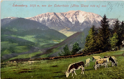 Schneeberg Eicherthütte Hohe Wand
