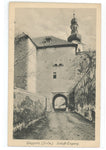 Gloggnitz Schloss Eingang