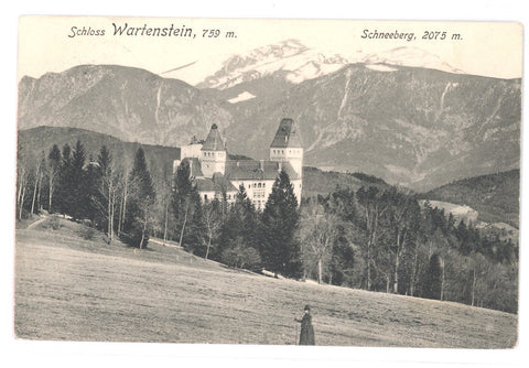 Schloss Wartenstein, Schneeberg