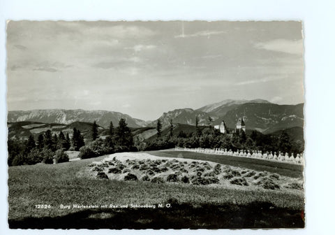 Burg Wartenstein mit Rax und Schneeberg