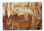 Postojnska Jama, Grotte