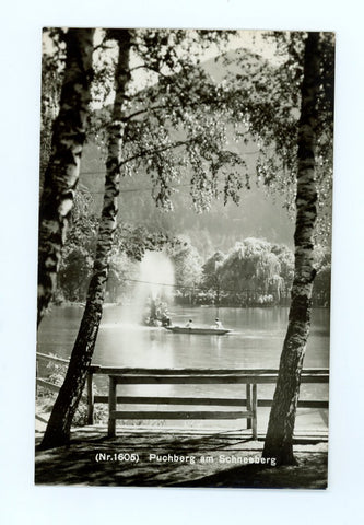 Puchberg am Schneeberg, Teich